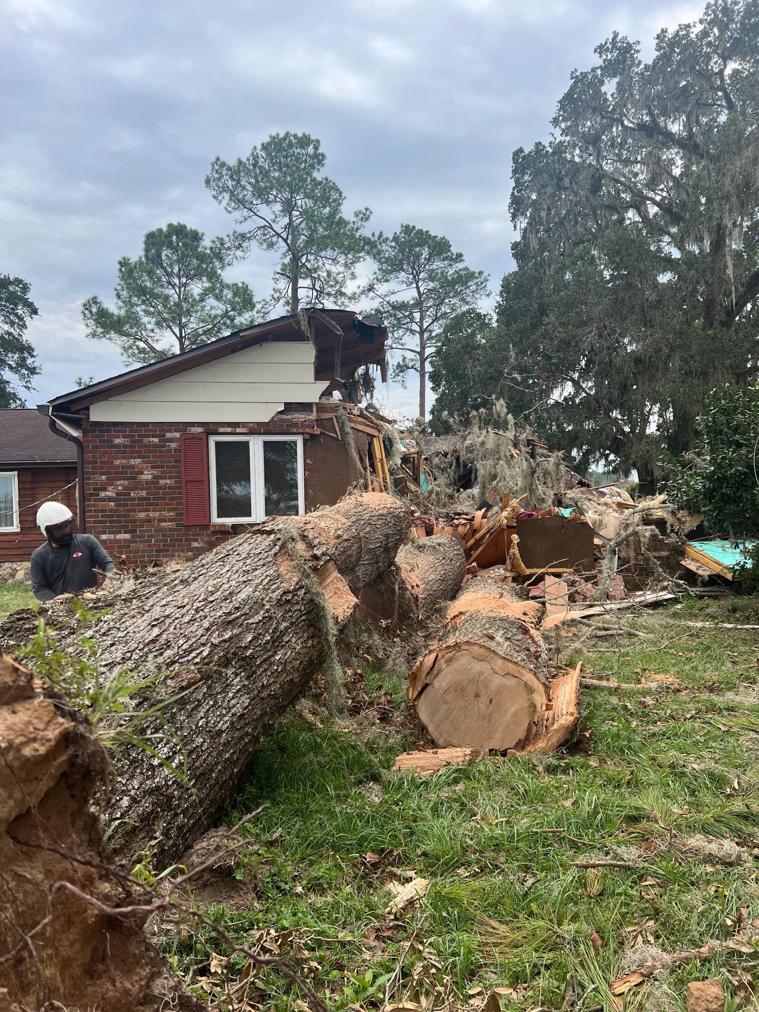 Tree Job 2